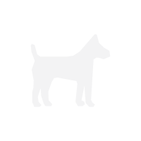 iconaDogFriendly